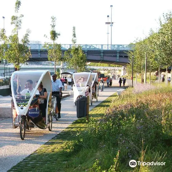 Cyclo City Tours