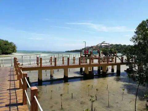 Hotels near Mangrove Nursery