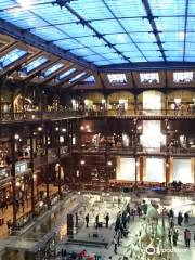 Grande Galerie de l'Evolution