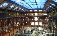 Grande Galerie de l'Evolution