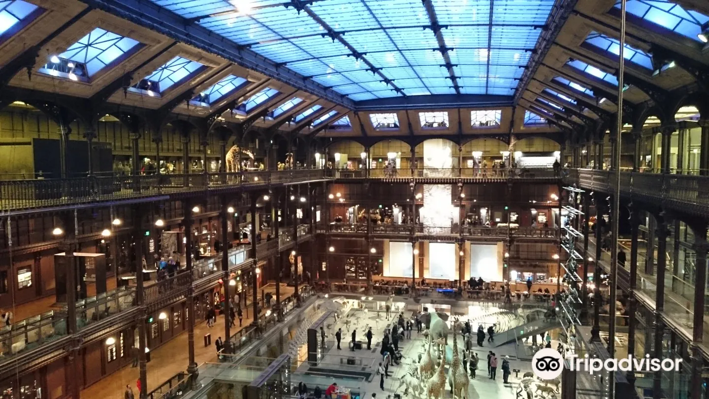 1_Grande Galerie de l'Evolution