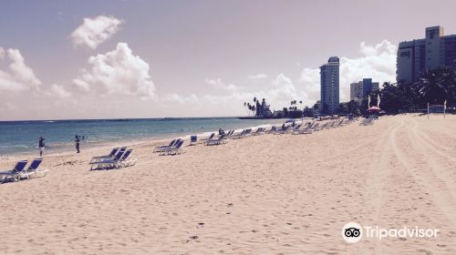 Carolina Public Beach