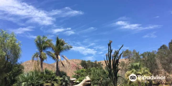 Jurupa Mountains Discovery Center