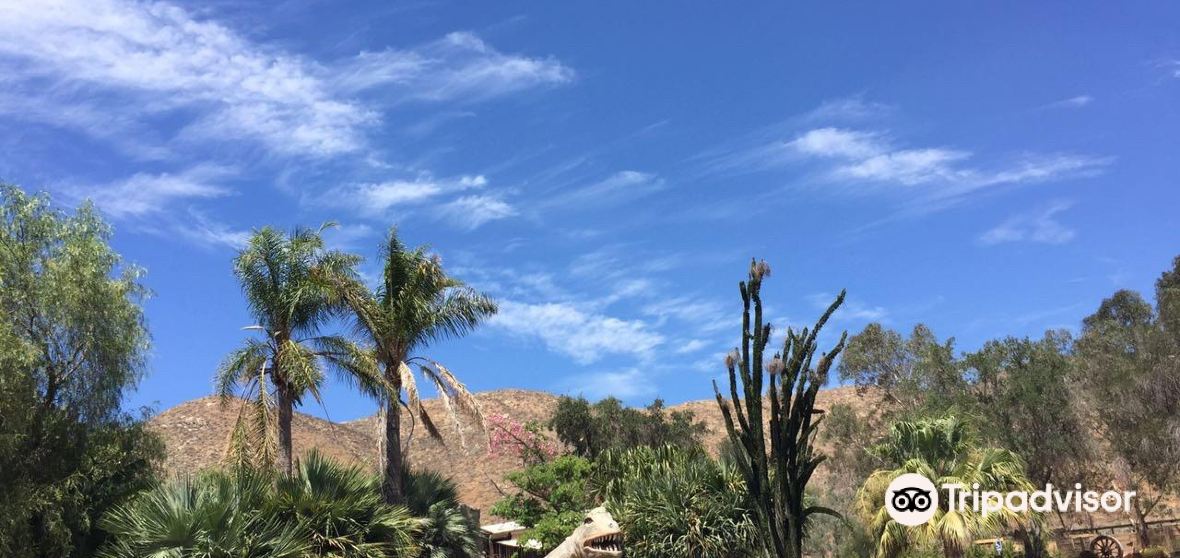 Things to Do in Jurupa Valley in 2024 Top Attractions, Local Food