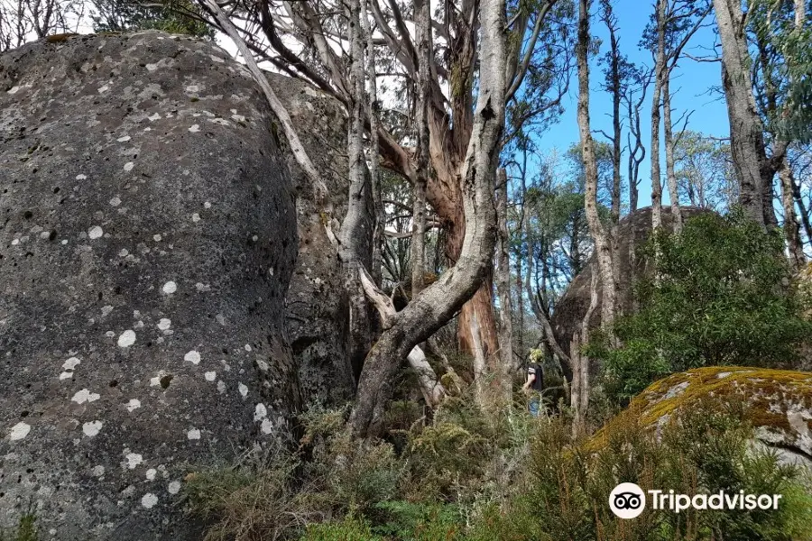 Mushroom Rocks