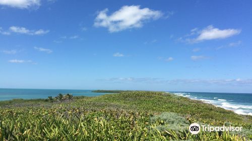 Parque Nacional Isla Contoy