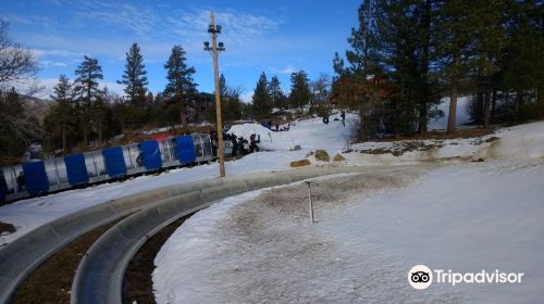 Alpine Slide at Magic Mountain