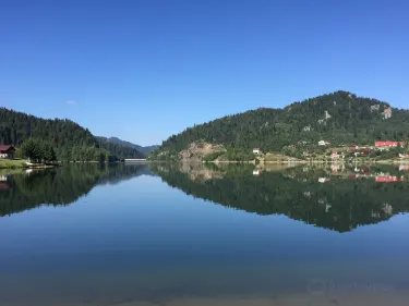 Colibita