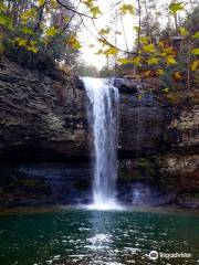 Cloudland Canyon State Park