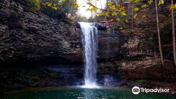Cloudland Canyon State Park