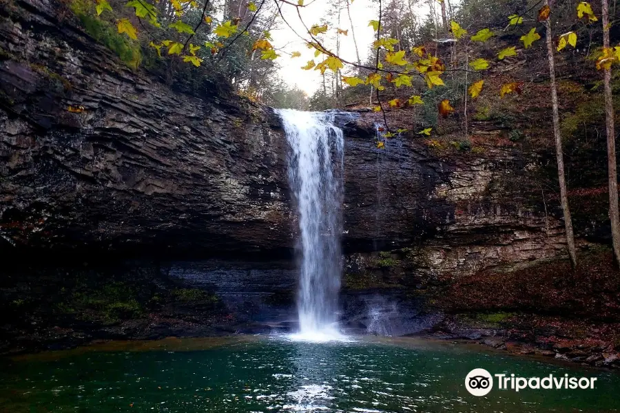 Cloudland Canyon State Park