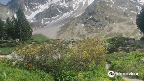 Gallery Alpe Alpine Botanical Garden Lautaret