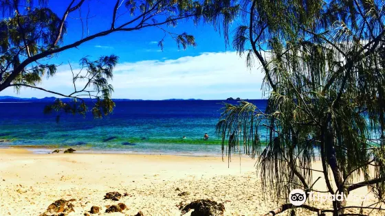 Wategos Beach