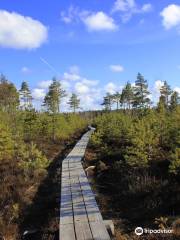 Nature Study Trail in Paaskula Bog