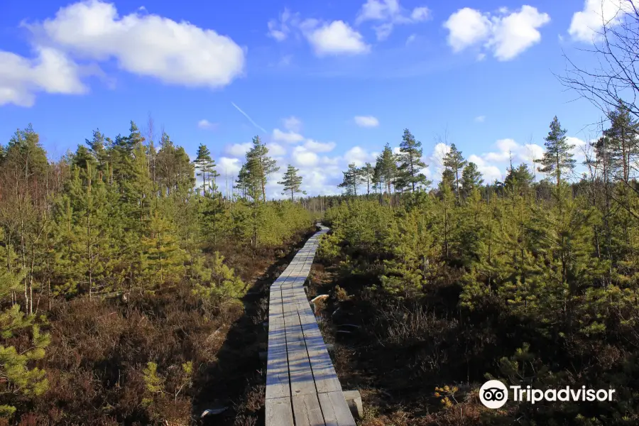 Nature Study Trail in Paaskula Bog