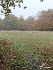 Hainault Forest