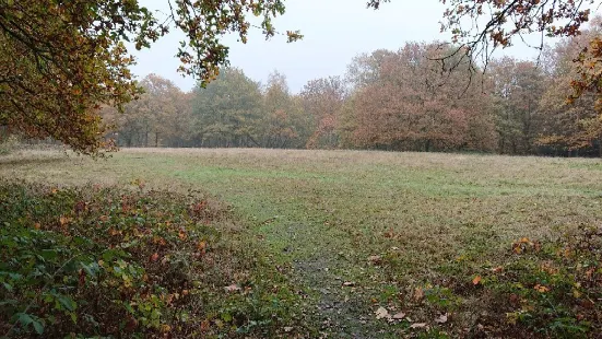 Hainault Forest Country Park