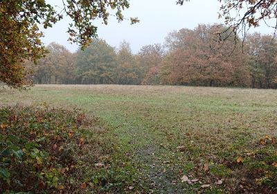 Hainault Forest Country Park