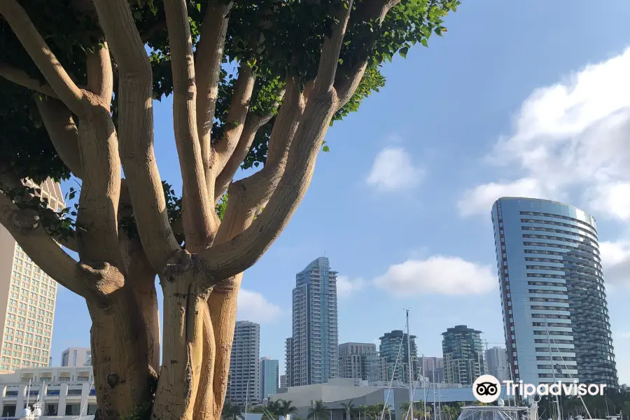 Embarcadero Marina Park North