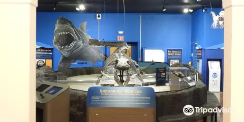 Georgia Southern Museum