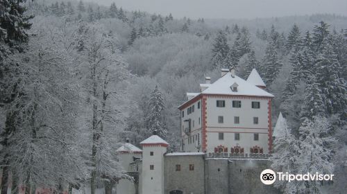 Grad Snežnik