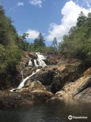 Mountain Pine Ridge Forest Reserve