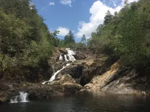 Mountain Pine Ridge Forest Reserve