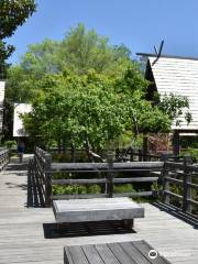 Fort Worth Japanese Garden