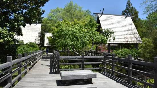 Fort Worth Japanese Garden