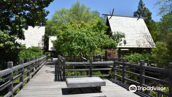 Japanese Garden