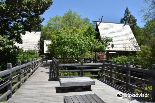 Japanese Garden