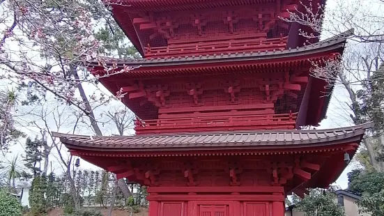 法華経寺