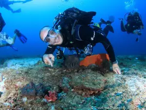 Peri Peri Divers Tofo | Scuba Dive Center