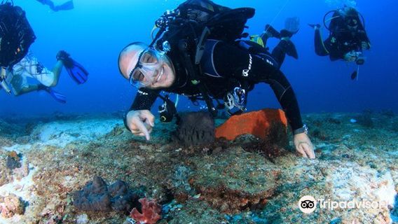 Peri Peri Divers Tofo | Scuba Dive Center