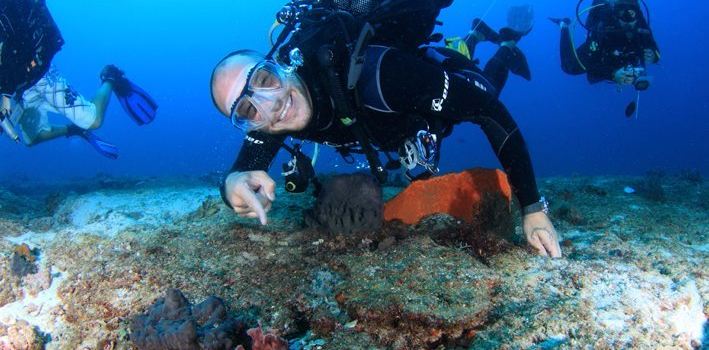 Peri Peri Divers Tofo | Scuba Dive Center