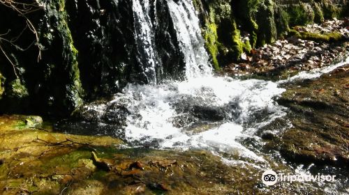 Ruta dels Molins Fariners