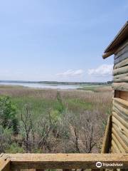 Laguna de Sariñena y Centro de Interpretación