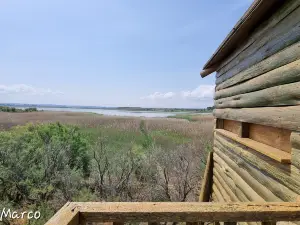 Laguna de Sariñena y Centro de Interpretación