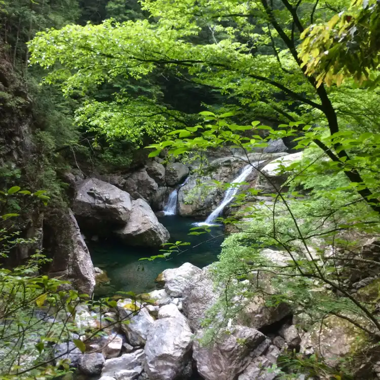 Kihoku