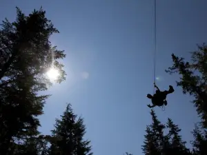 Grizzly Falls Ziplining Expedition