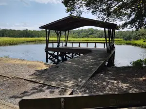 Martinak State Park