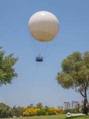 TLV Balloon