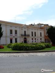 Monumento a Los Xiquets de Valls, Castellers o Torres Humanas