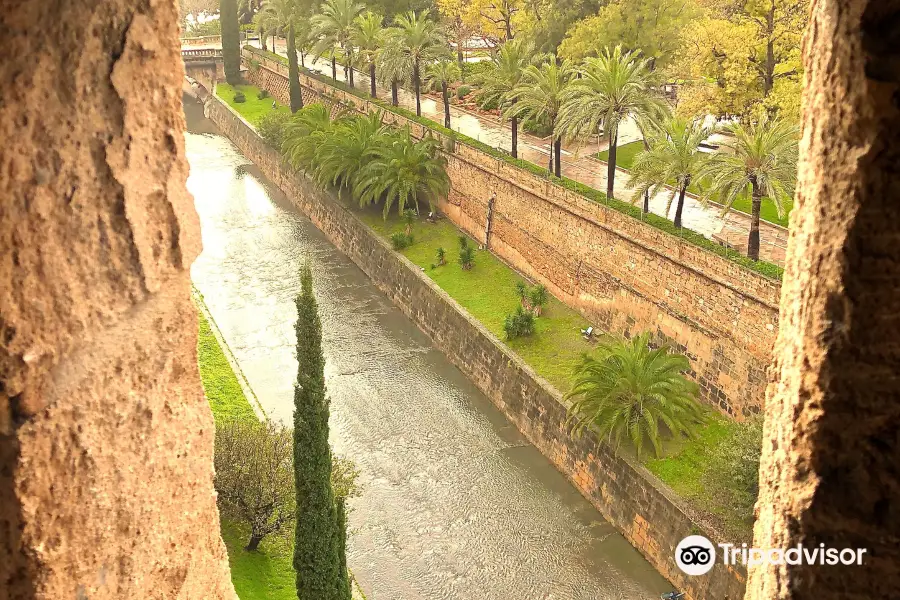 Parc de Sa Riera