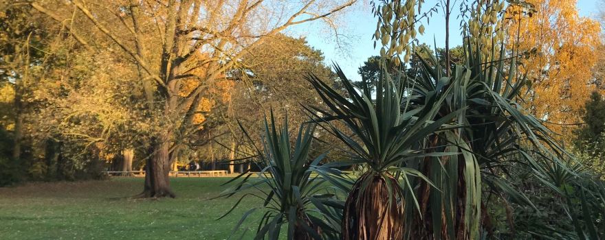 Pinner Memorial Park