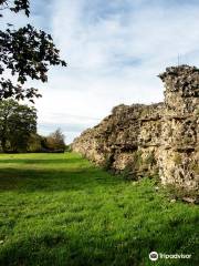 Mura e anfiteatro di Calleva Atrebatum (Silchester)