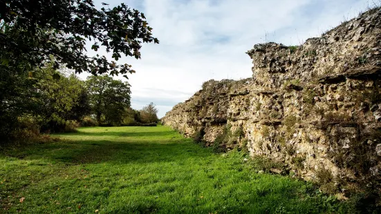 Silchester Roman City Walls and Amphitheatre