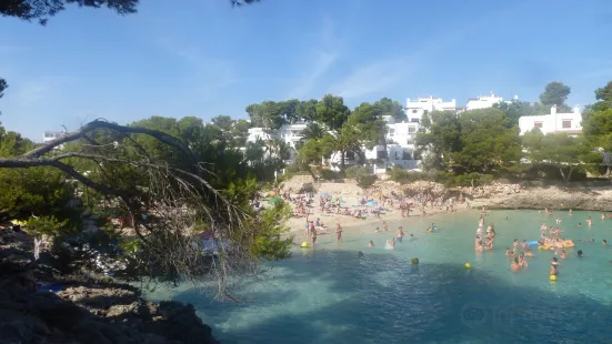 Plage Cala D'or