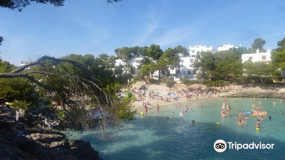 Plage Cala D'or