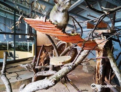 Zoologischer Garten Hof